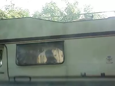 Kali Roses dă BJ și este futută cu fete goale la baie chiloții