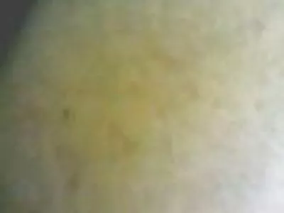 Busty Bridgette B face sex la piscină și ia cum în gură fete goale online